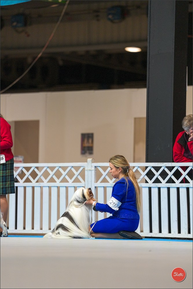 🇱🇺 LUXEMBOURG 🇱🇺 International Dog Show 4-5/04/2026. Photographe à Strasbourg | Portraits, Studio, Enfants, Événements