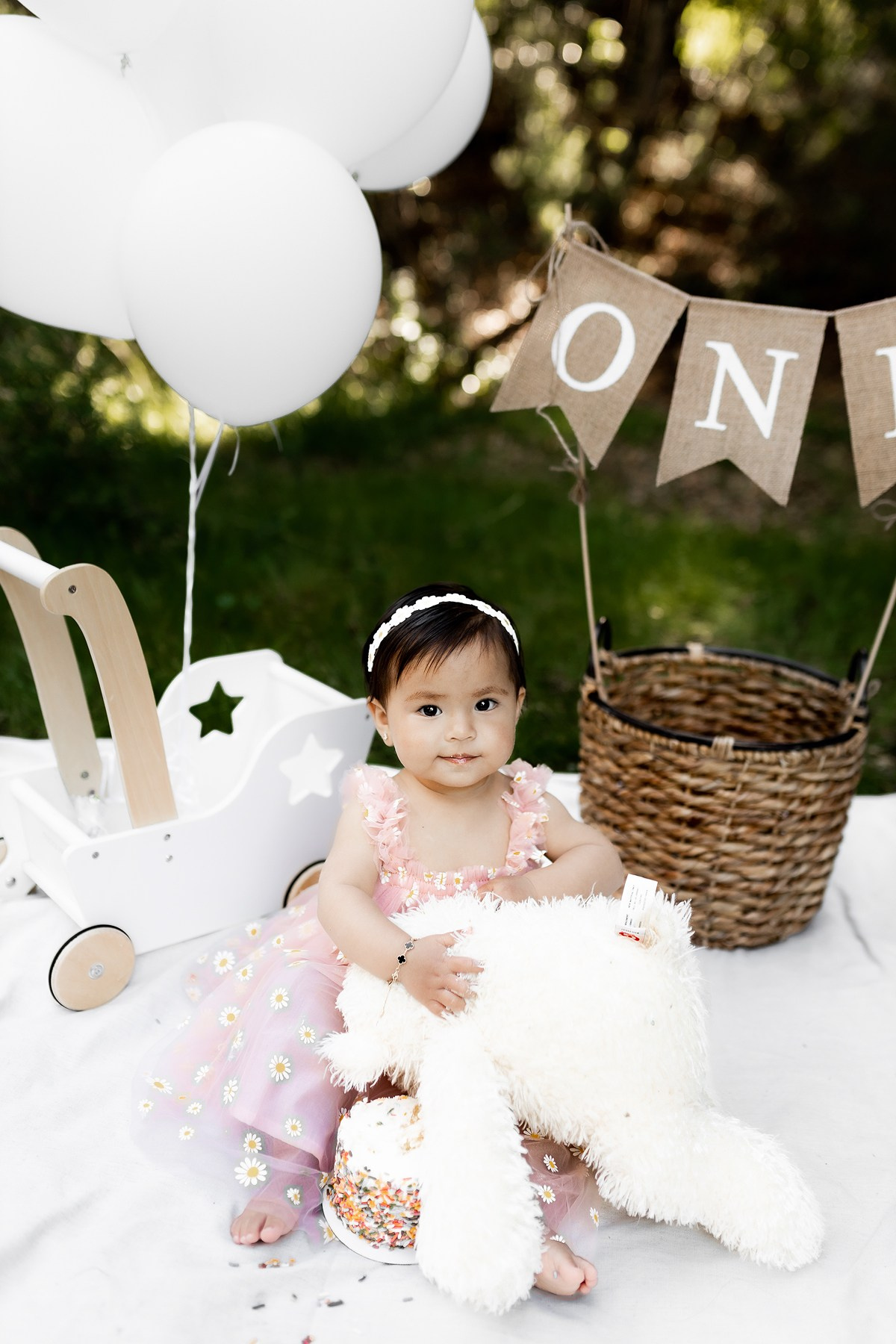 First year & Cake Smash. Family photographer in Bay Area, California