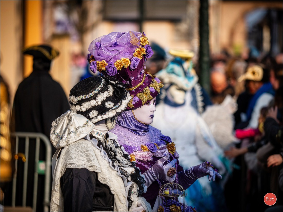 Carnaval vénitien de Rosheim 2026. Photographe à Strasbourg | Portraits, Studio, Enfants, Événements