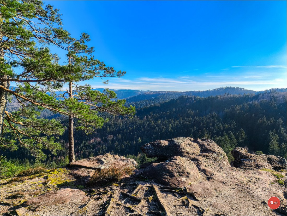 Une forêt, un rocher et un cimetière gallo-romain. Photographe à Strasbourg | Portraits, Studio, Enfants, Événements