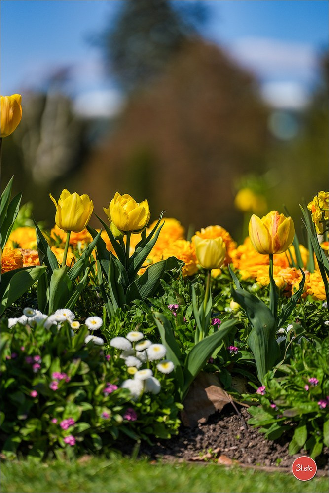 TEST ::: Sony Alpha 7 V (ILCE-7M5) 70-200mm f/2.8 GM II OSS. Photographe à Strasbourg | Portraits, Studio, Enfants, Événements