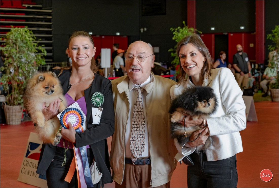 Expo canine 🇫🇷 MARGNY LES COMPIEGNE 06-07/09/2025. Photographe à Strasbourg | Portraits, Studio, Enfants, Événements