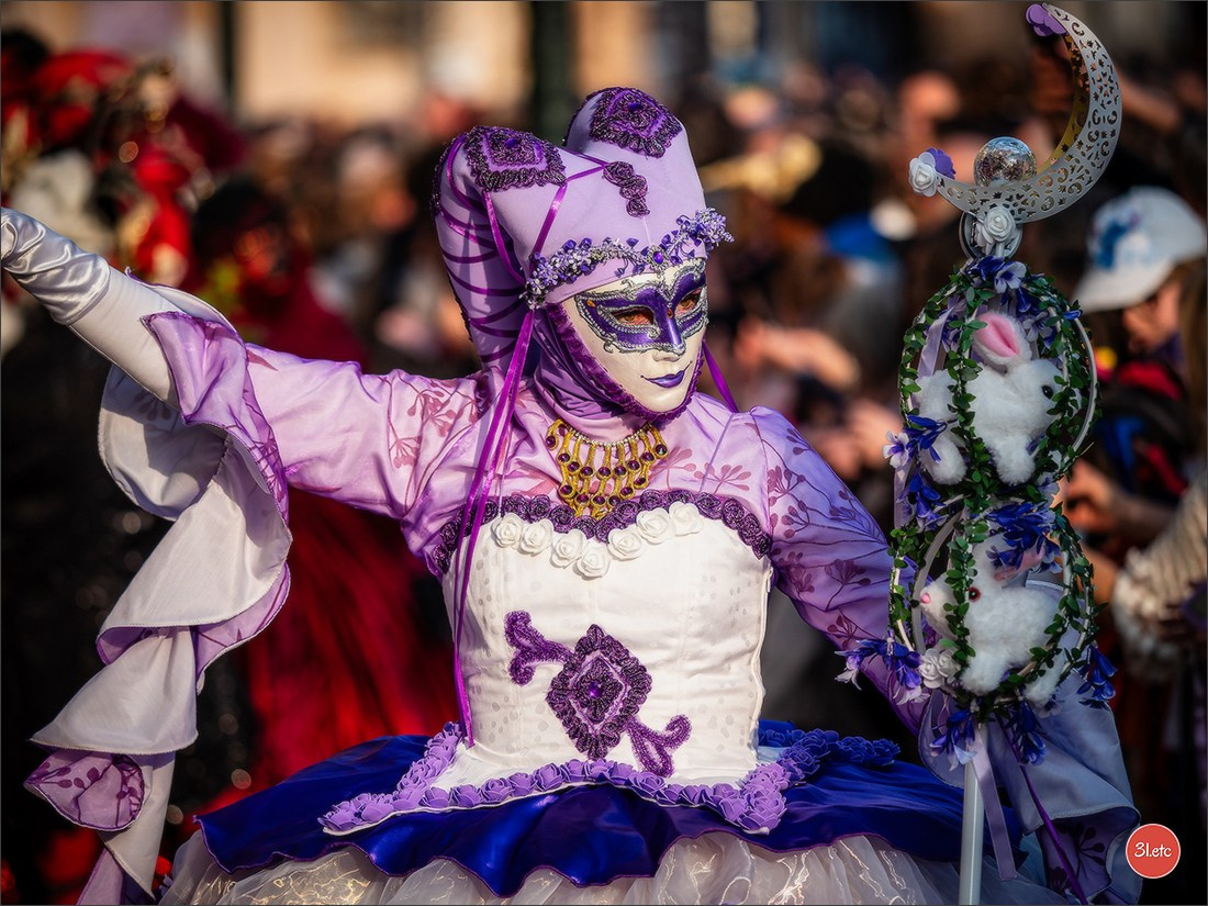 Carnaval vénitien de Rosheim 2026. Photographe à Strasbourg | Portraits, Studio, Enfants, Événements
