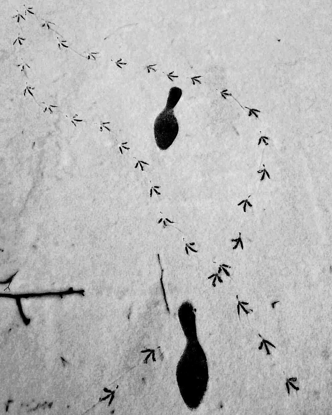 Работы учеников. Фотограф и преподаватель фотографии в Белграде