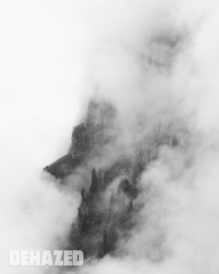 Publications. OLGA REPTIK