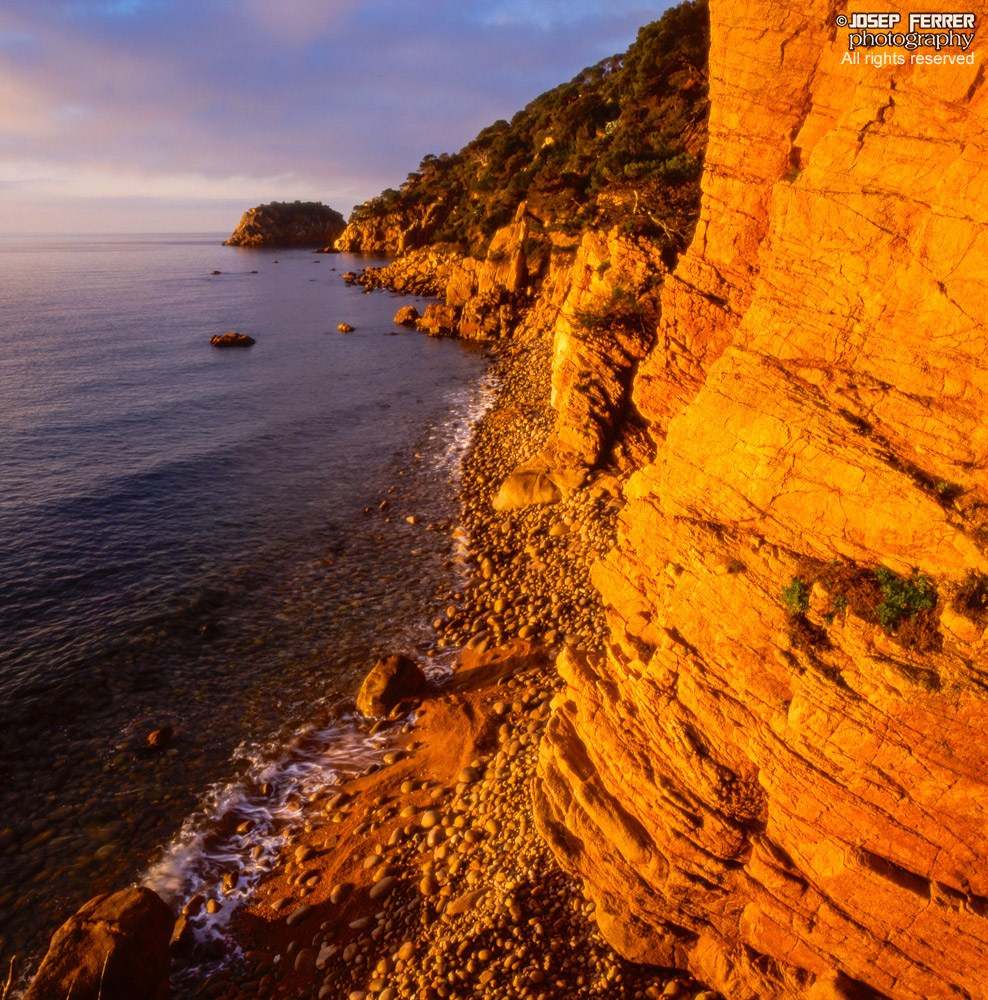 Sa Punta d'en Bosc, Costa Brava, Catalunya