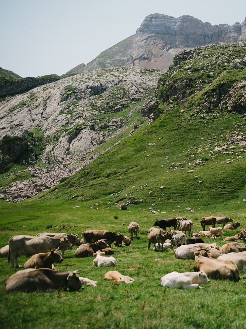 Galeria. Creador de contenido visual en Barcelona | Dima Kit