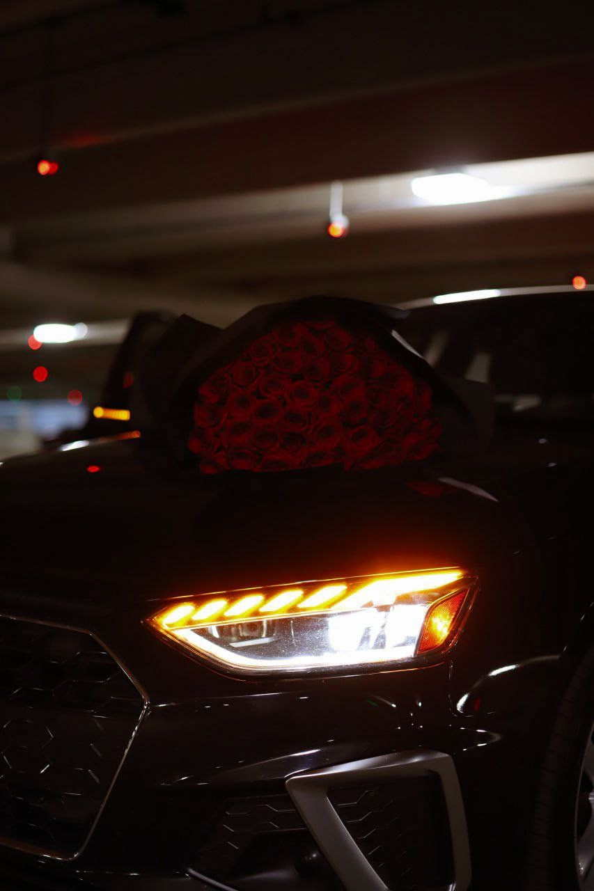 Diana. VALERIIA VIUNOVA individual shooting\love story\event\brand