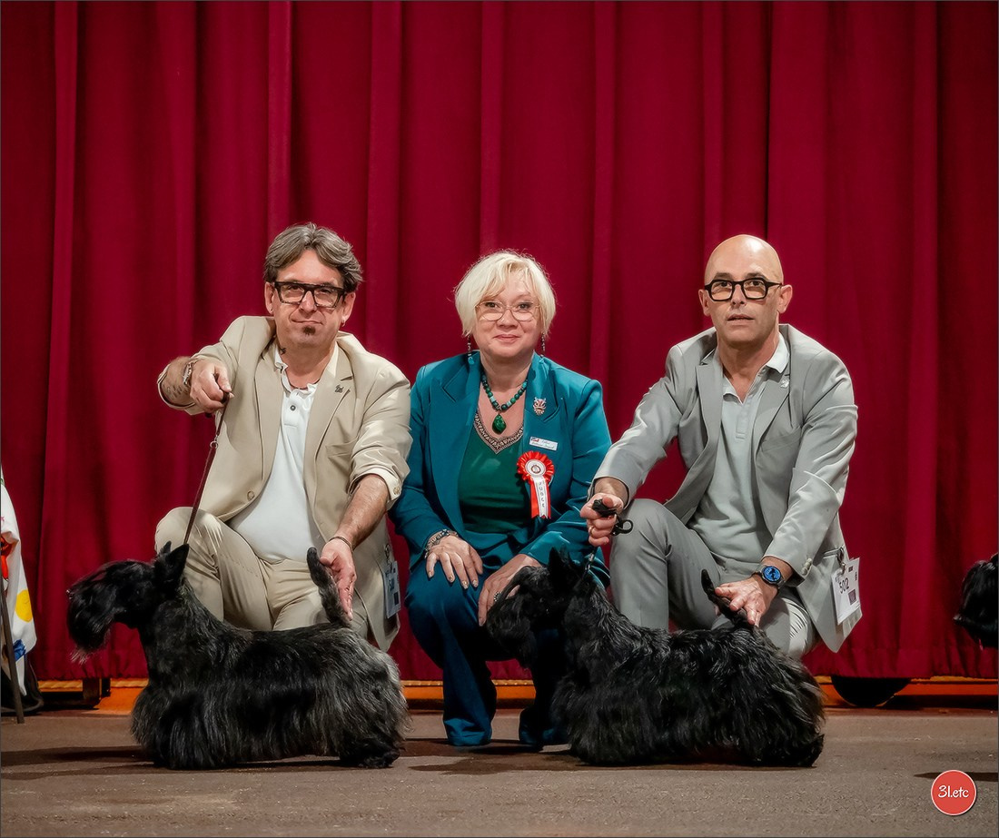 Expo canine 🇲🇨  Monaco 10-11/05/2025. Photographe à Strasbourg | Portraits, Studio, Enfants, Événements