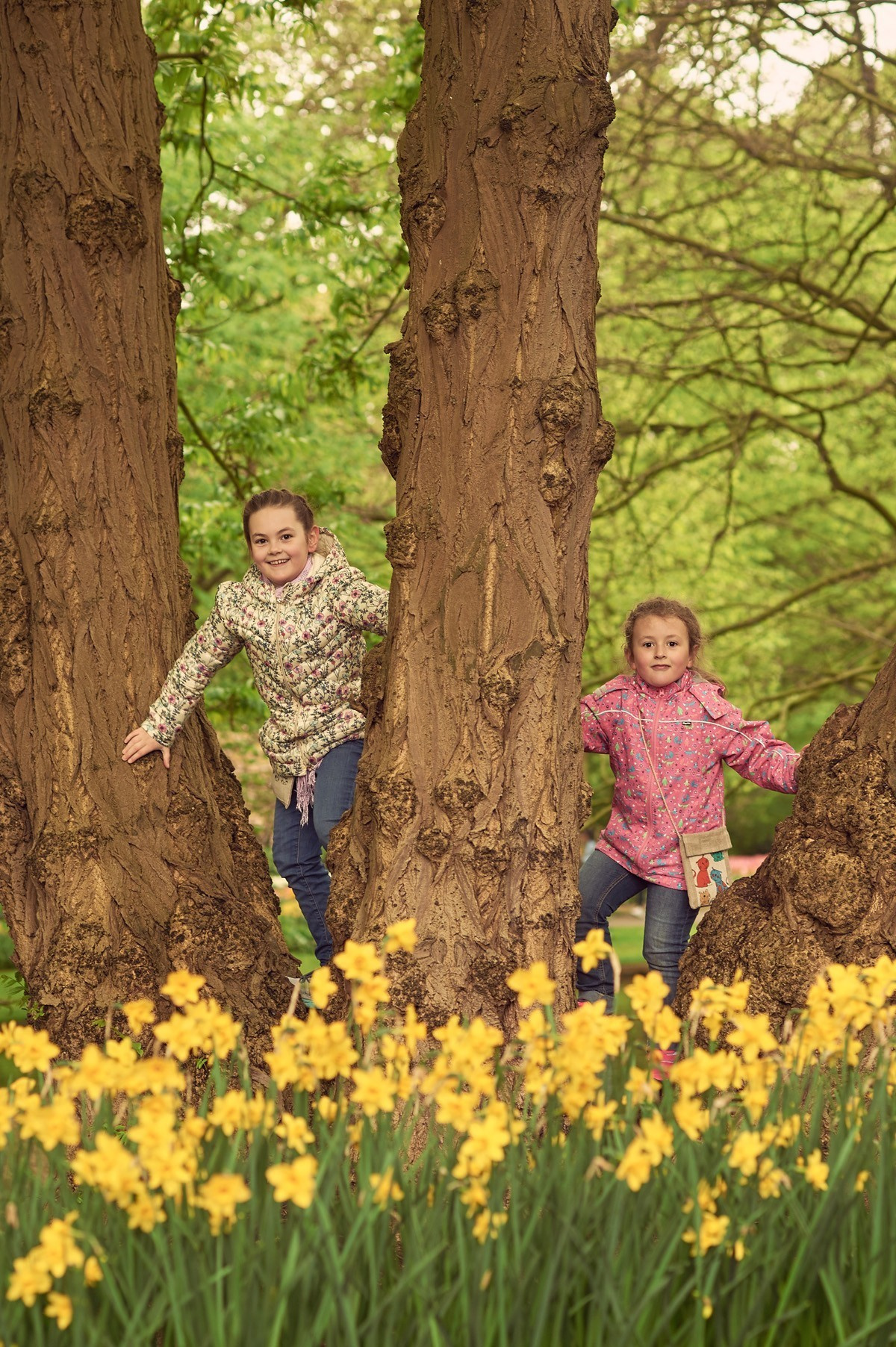 Family photoshoot in Keukenhof. Portrait and Wedding Photographer Brussels & Amsterdam