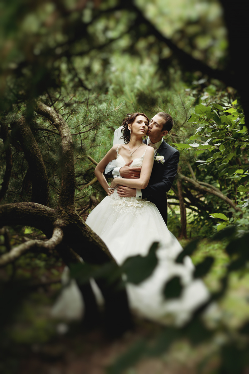 Wedding photography collection. Portrait and Wedding Photographer Brussels & Amsterdam