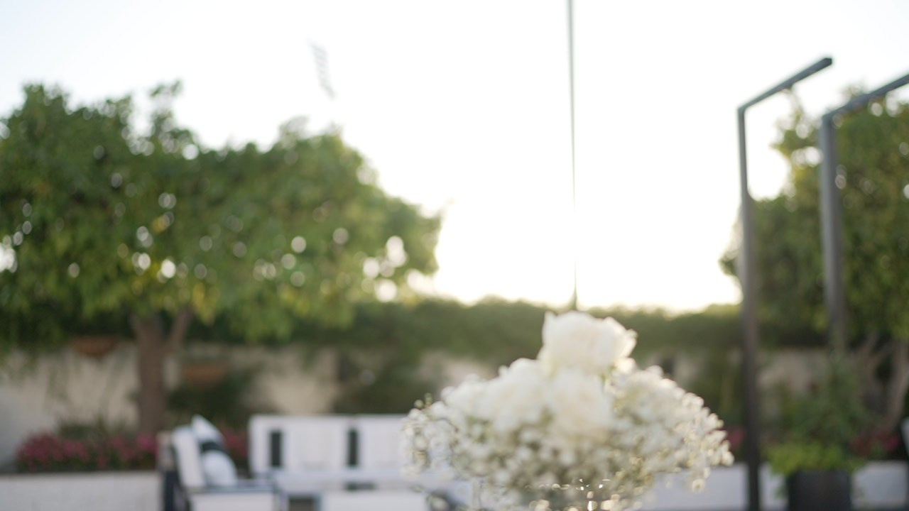 VIA / BASICO. Wedding and events photographers Studio Shalom