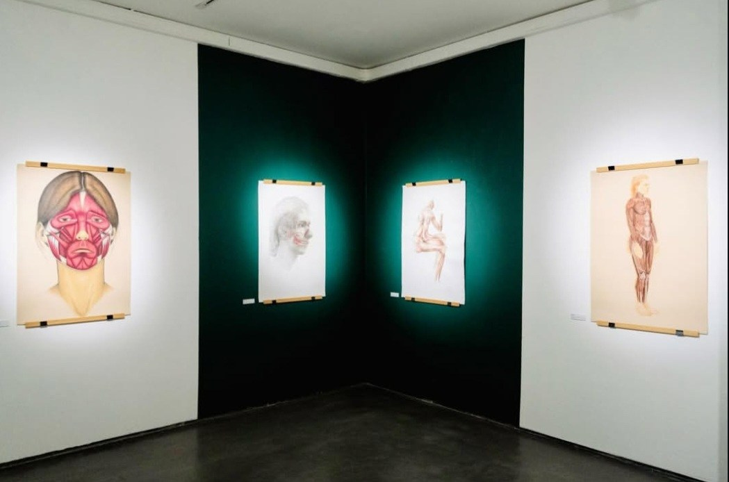 Um Olhar para Além da Morfologia. Barbara Cabral