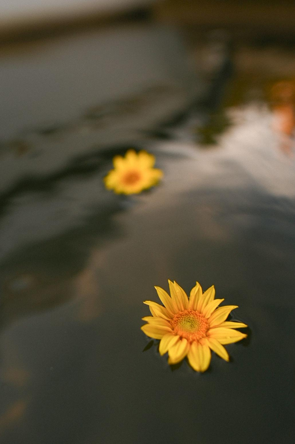 Баркарола. Детский и семейный фотограф в финляндии дина пулкка. контент фотограф
