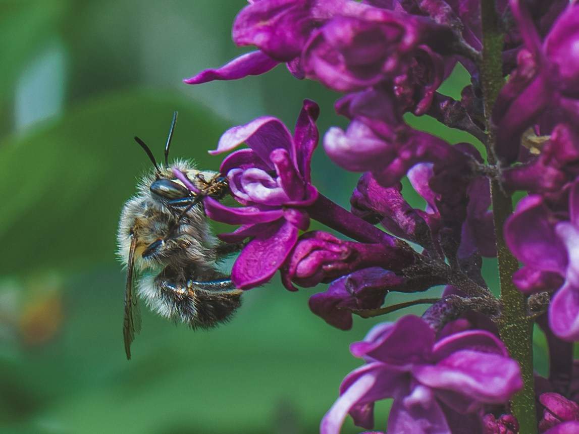 Portret bebeluș la botez realizat de Mitroi Iulian