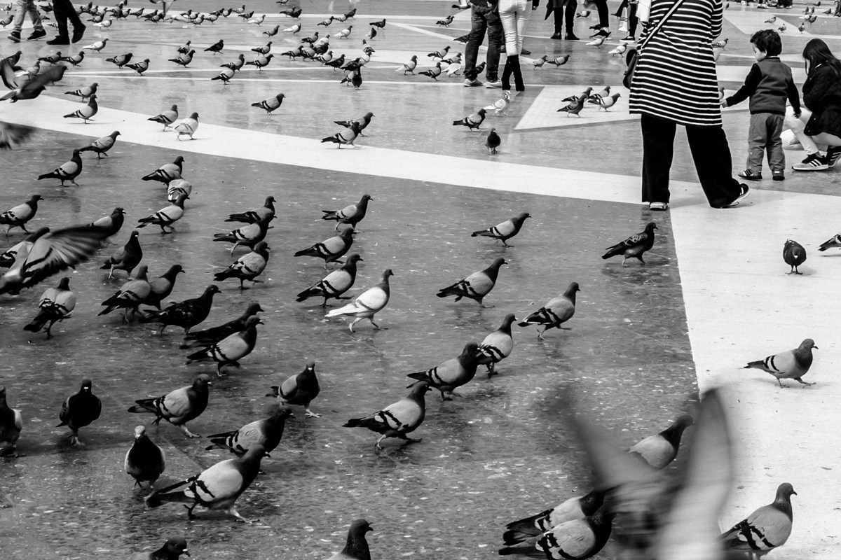 Испания. Портретный фотограф Алена Новгородцева
