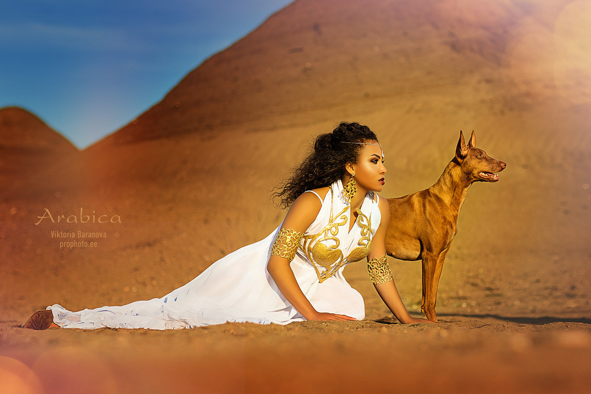 Arabika. Фотограф в Таллине Виктория Баранова |фотосессии и обучение / Photographer Viktoria Baranova