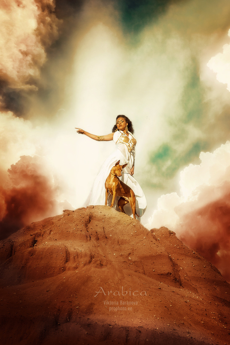 Arabika. Фотограф в Таллине Виктория Баранова |фотосессии и обучение / Photographer Viktoria Baranova