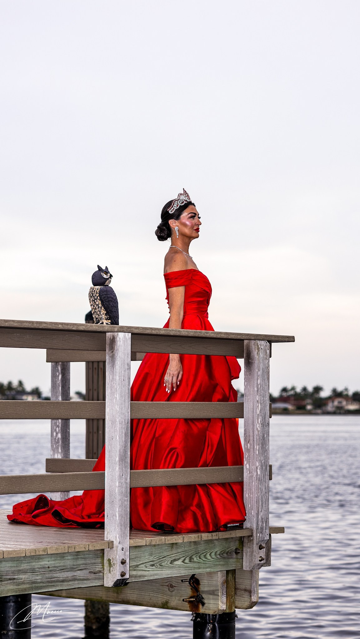 Red Queen Series. Out and About 239