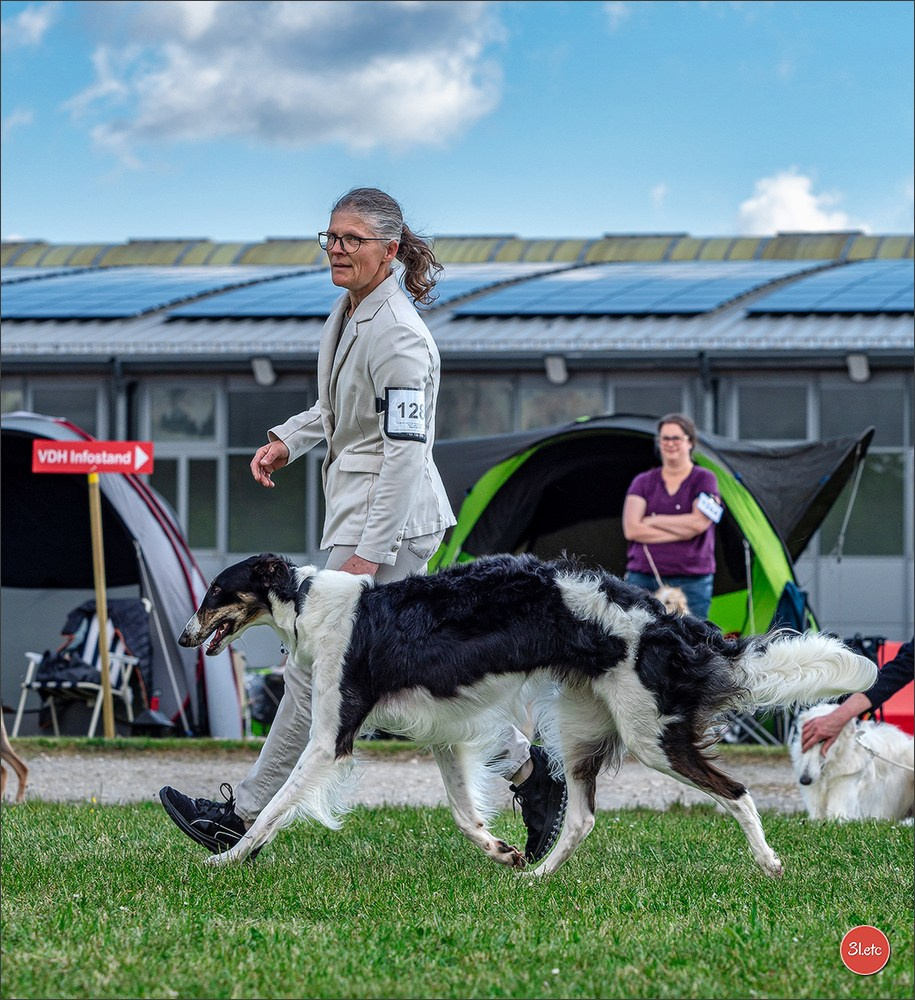 Dog Show Rieden 🇩🇪 16-18/05/2025. Photographe à Strasbourg | Portraits, Studio, Enfants, Événements