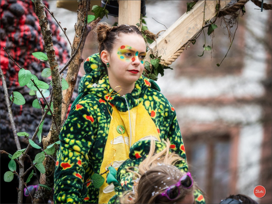 Traditional February carnival. Music, dancing, costume performances. C. Photographe à Strasbourg | Portraits, Studio, Enfants, Événements