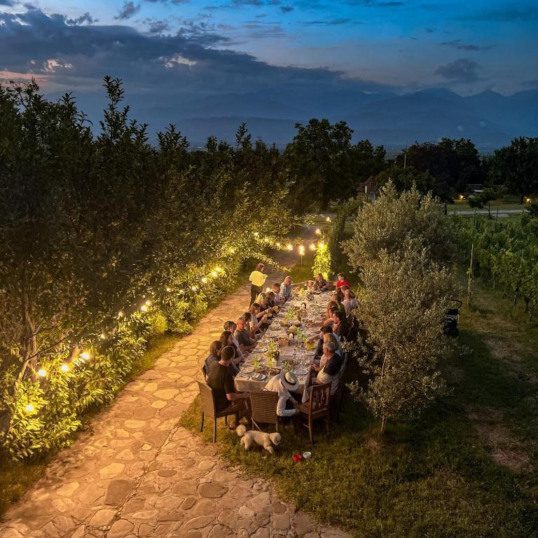 Schuchmann Wines Château, Villas & SPA. Главная