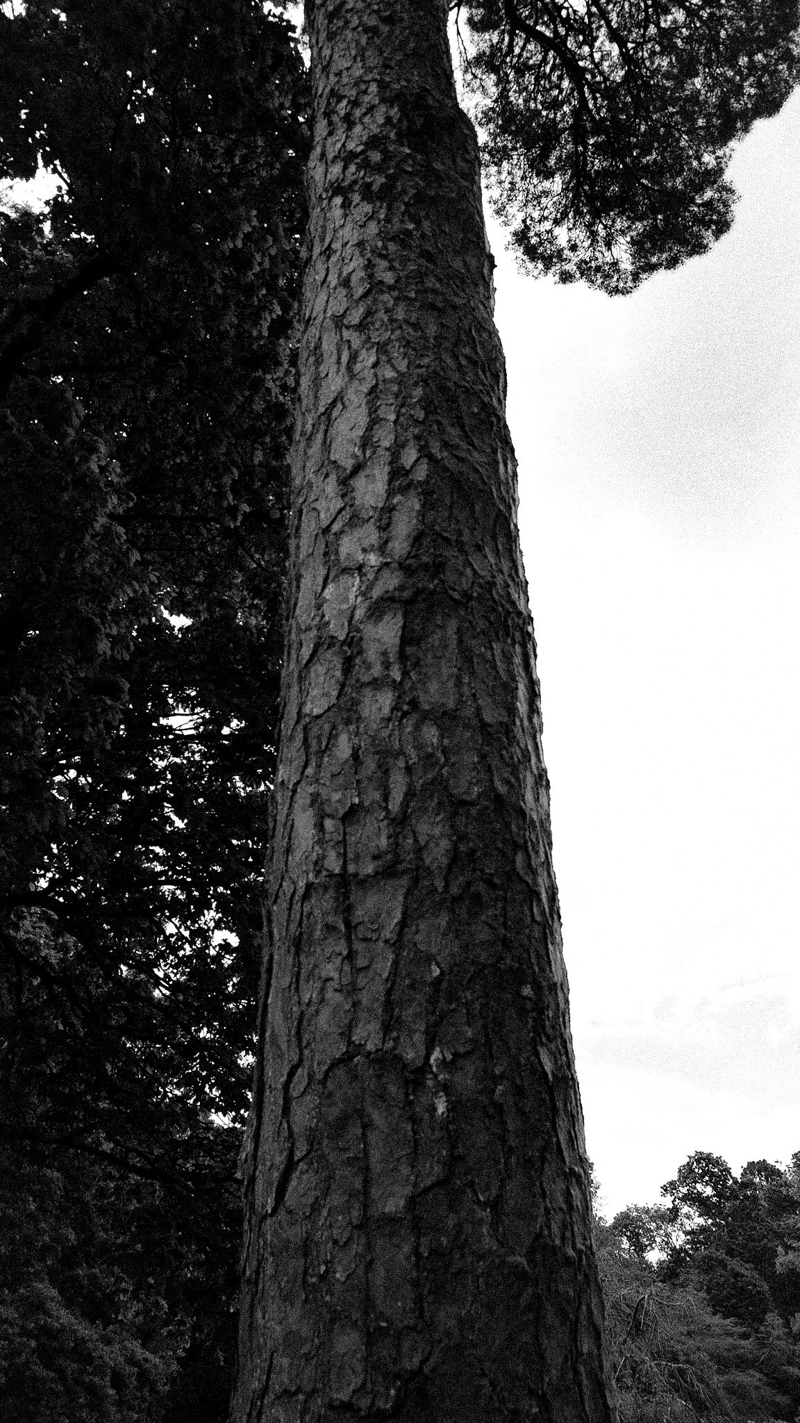 Killarney National Park, 2024