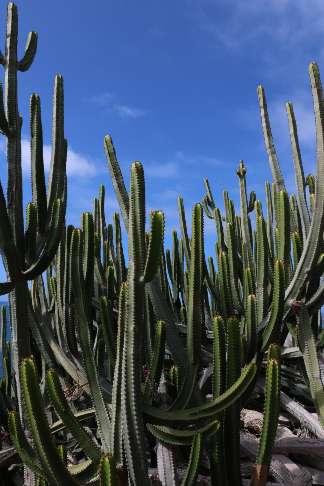 Gran Canaria 2024. Марина фотограф из Нюрнберга