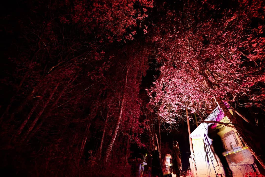 Арт. Портретный и репортажный фотограф в Израиле Рома Бирман