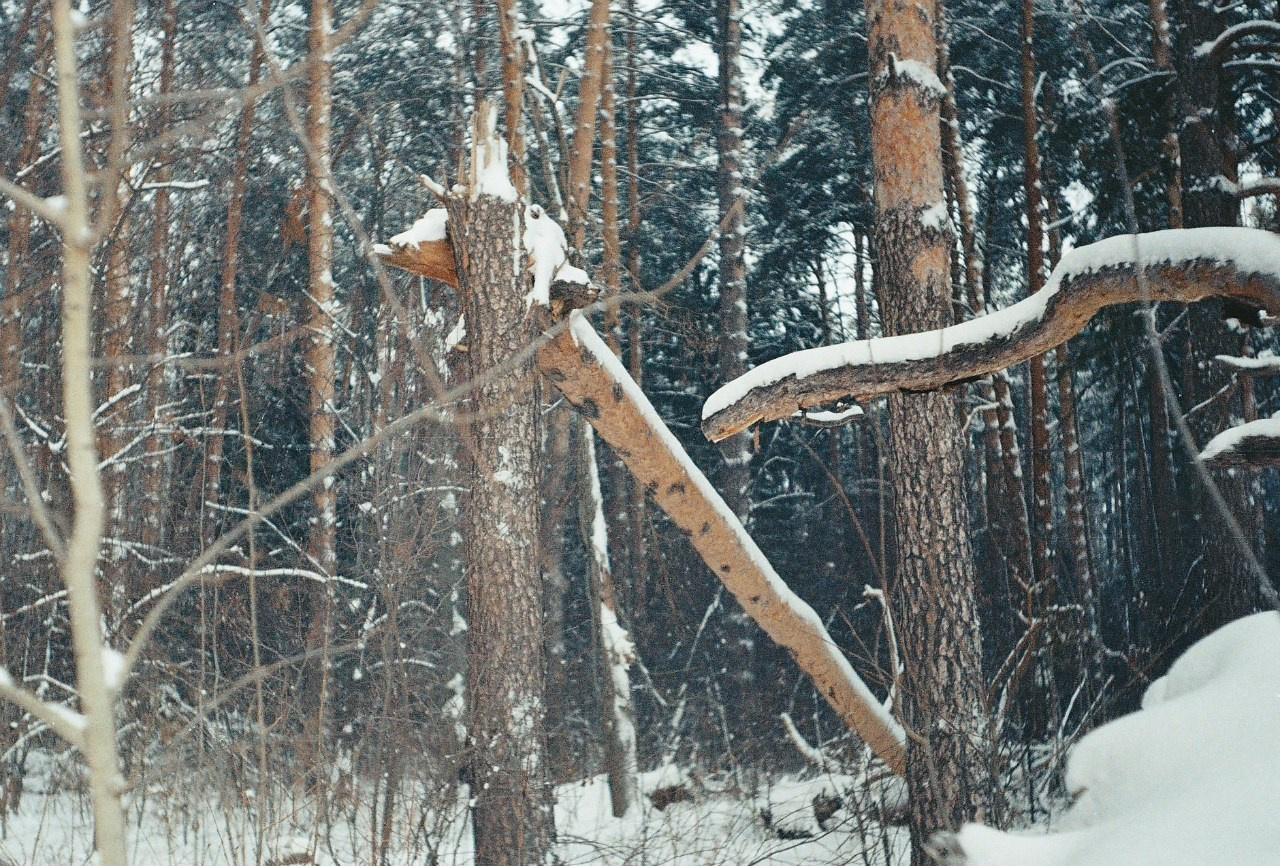 Ochyor (Perm region, Russia) 2013. Elena Zykova film photographer in London