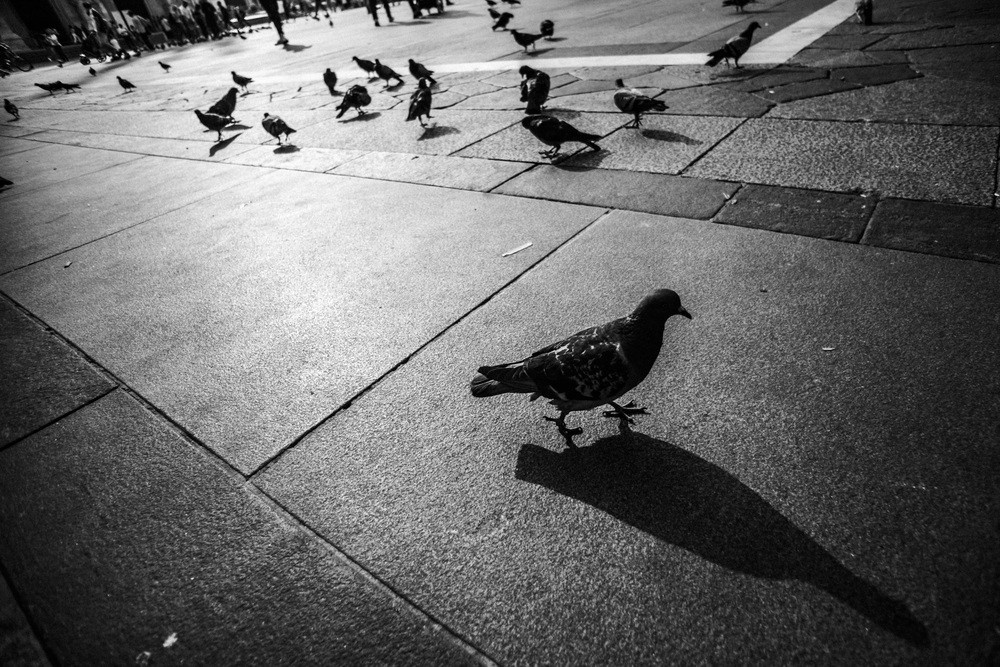 Milano 🇮🇹. Photokostin.com