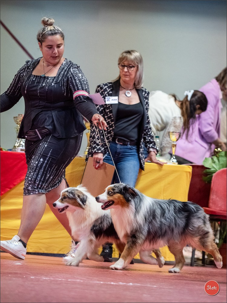 Expo canine 🇫🇷 Martigues  19-20/04/2025. Photographe à Strasbourg | Portraits, Studio, Enfants, Événements