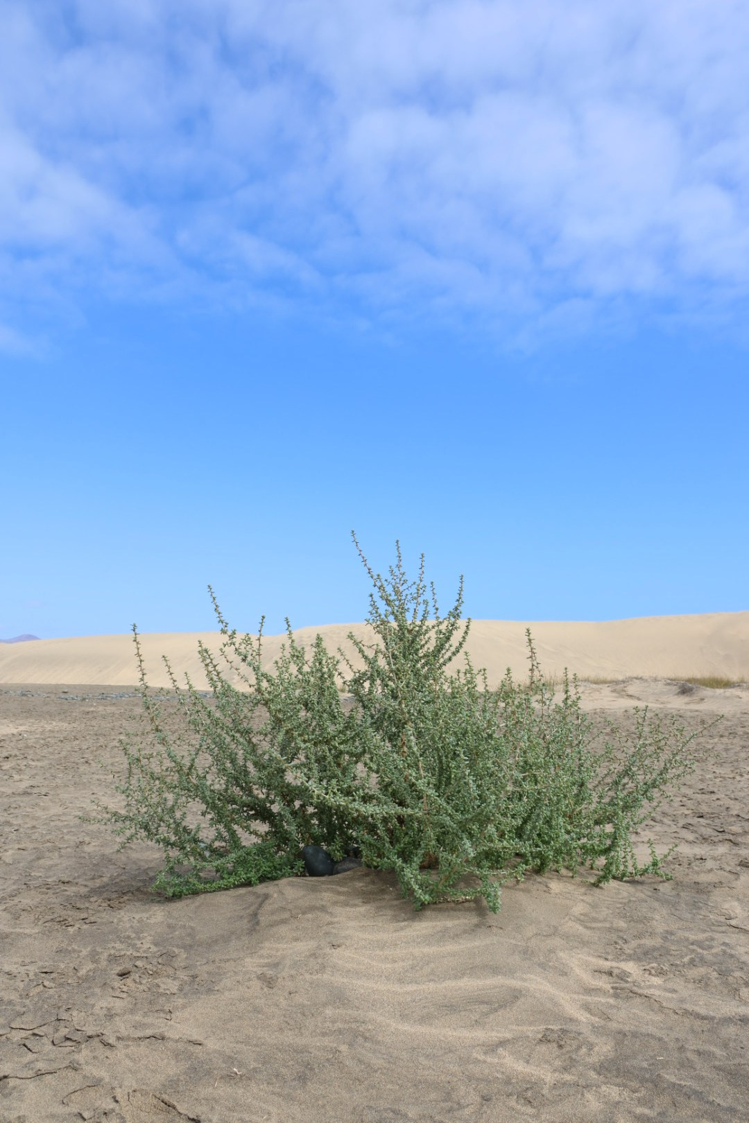 Gran Canaria 2024. Марина фотограф из Нюрнберга