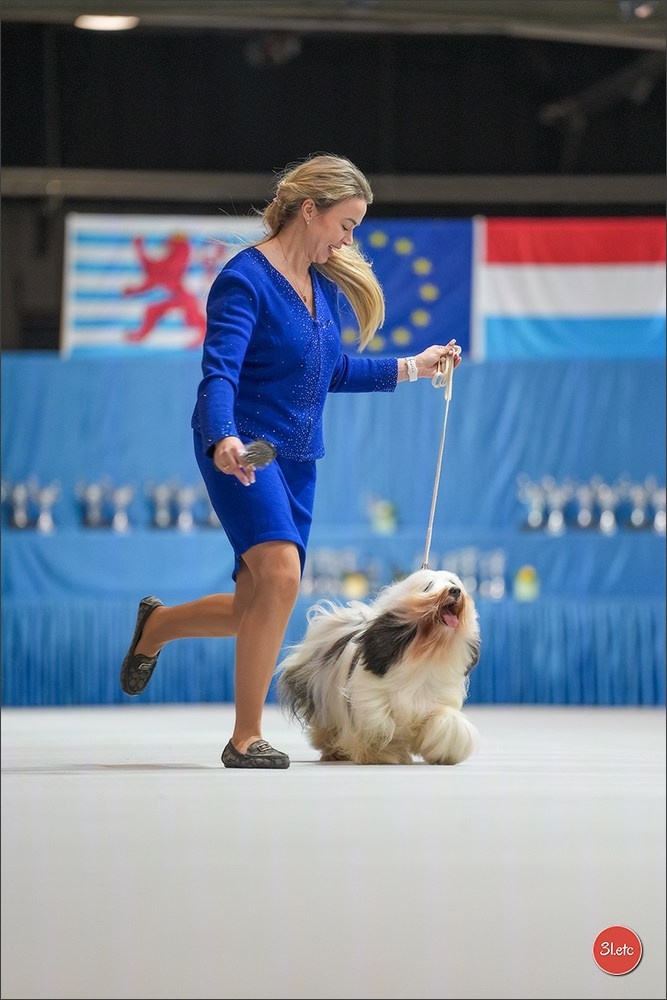🇱🇺 LUXEMBOURG 🇱🇺 International Dog Show 4-5/04/2026. Photographe à Strasbourg | Portraits, Studio, Enfants, Événements