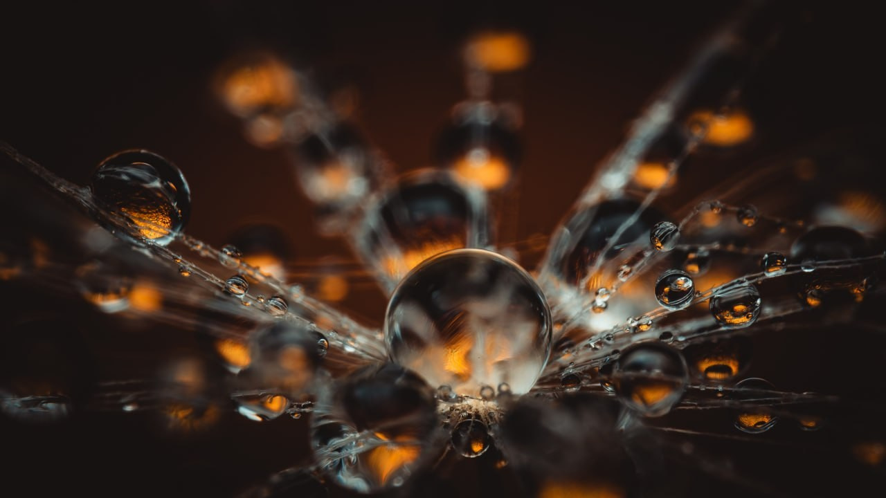 Closer Than Close-Up: Revealing a Hidden Universe in Water Droplets. Creative Macro Photographer & Content Creator in Birmingham, UK — Lee Hall