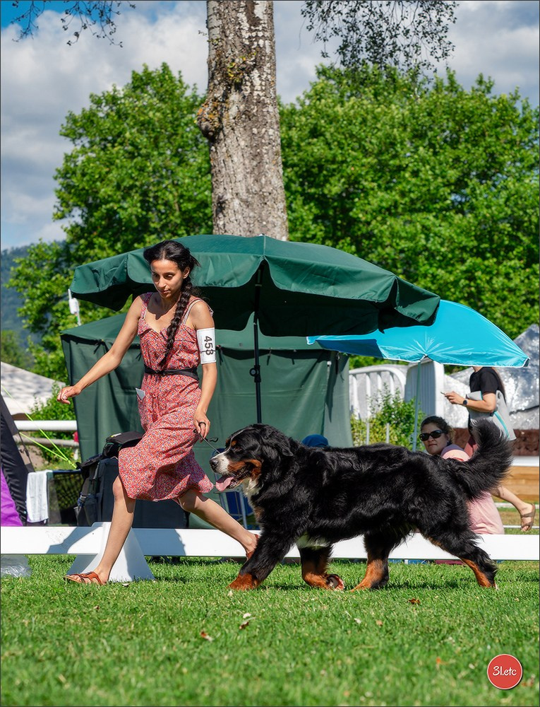 🇨🇭 Geneva Dog Show 15-17/11/2024. Photographe à Strasbourg | Portraits, Studio, Enfants, Événements