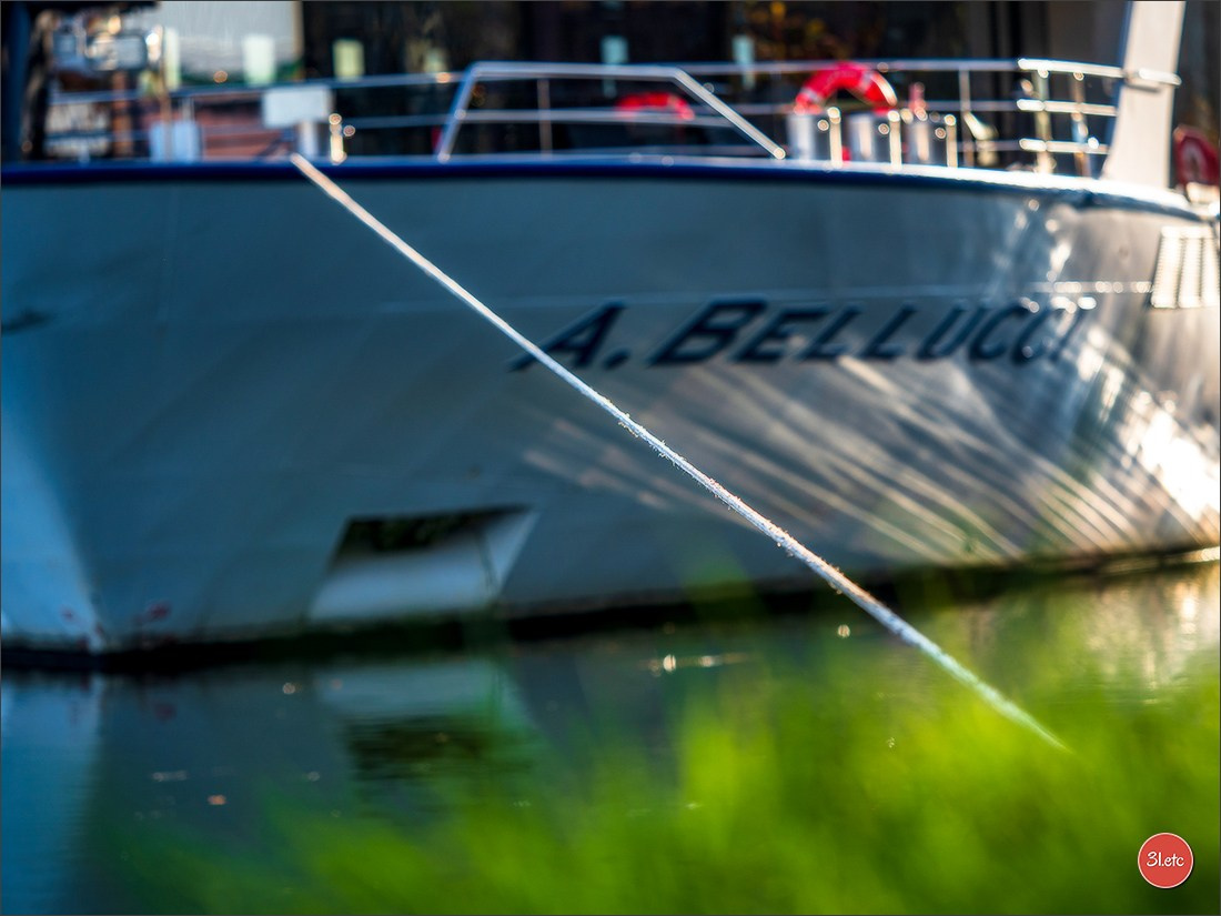 L'automne en ville. Photographe à Strasbourg | Portraits, Studio, Enfants, Événements