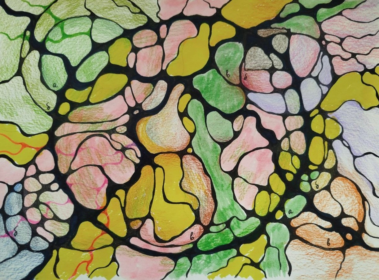 Nevrografika. Numerologija. Nevrografika. Delavnice