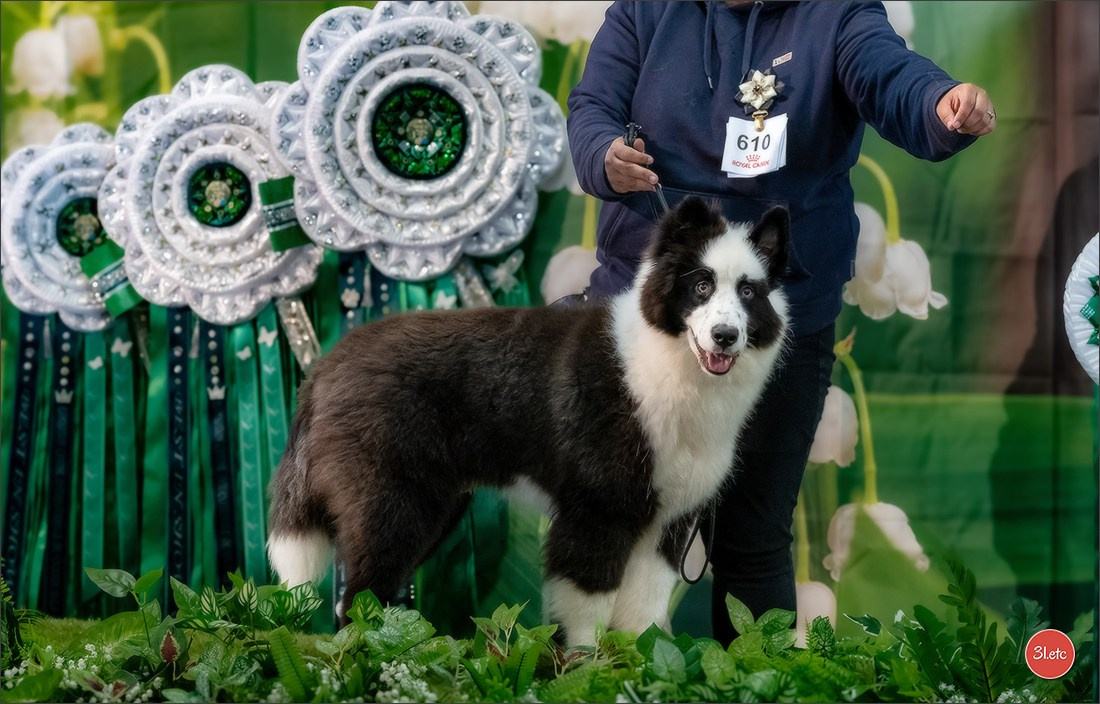 Expo canine 🇫🇷 Valence 02-03/05/2026
