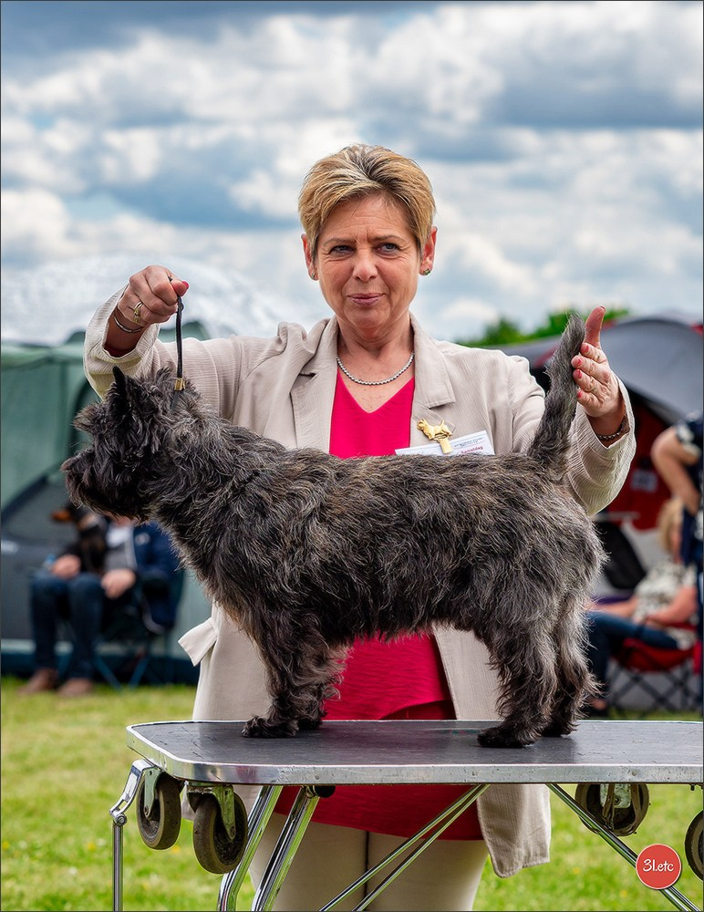 Dog Show Rieden 🇩🇪 16-18/05/2025. Photographe à Strasbourg | Portraits, Studio, Enfants, Événements