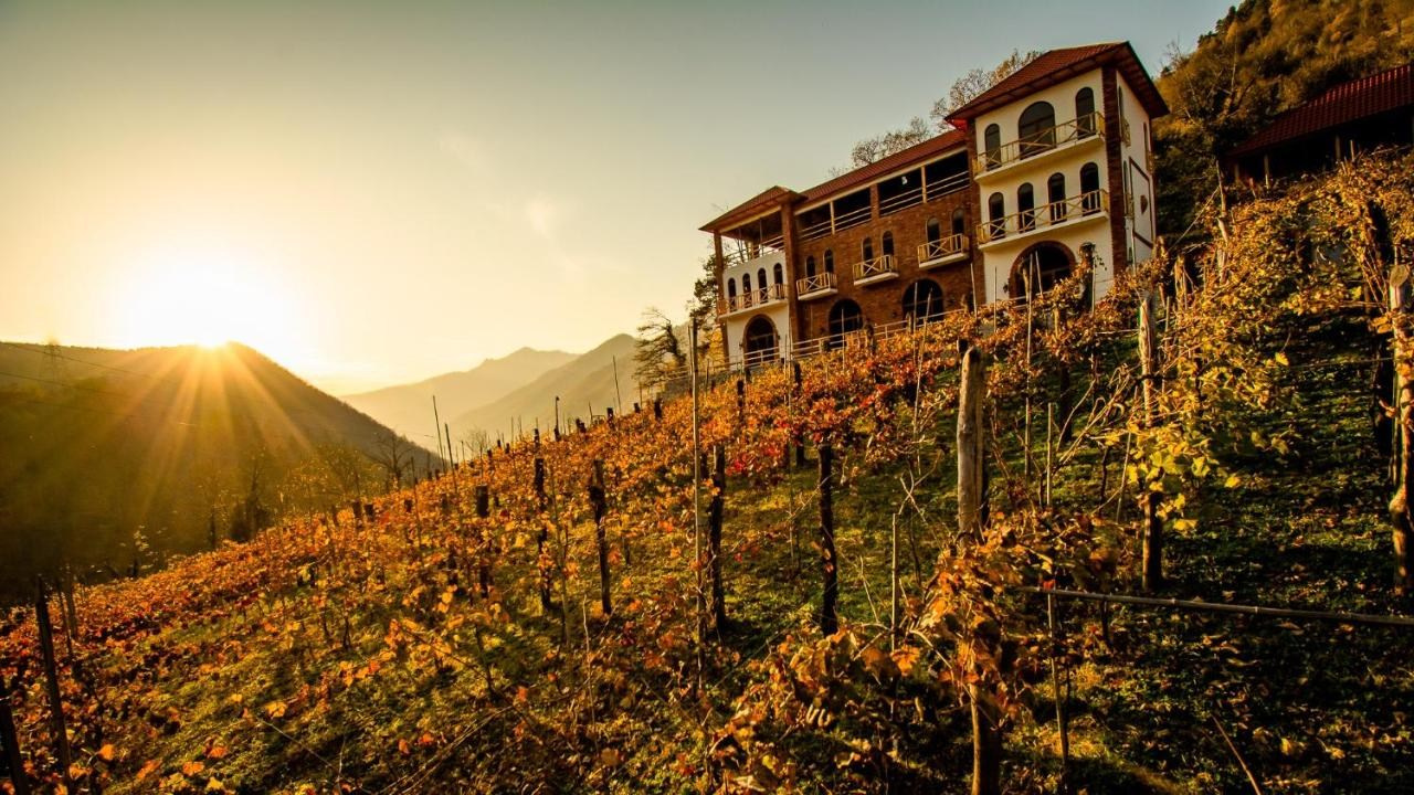 Окрестности Батуми. Главная