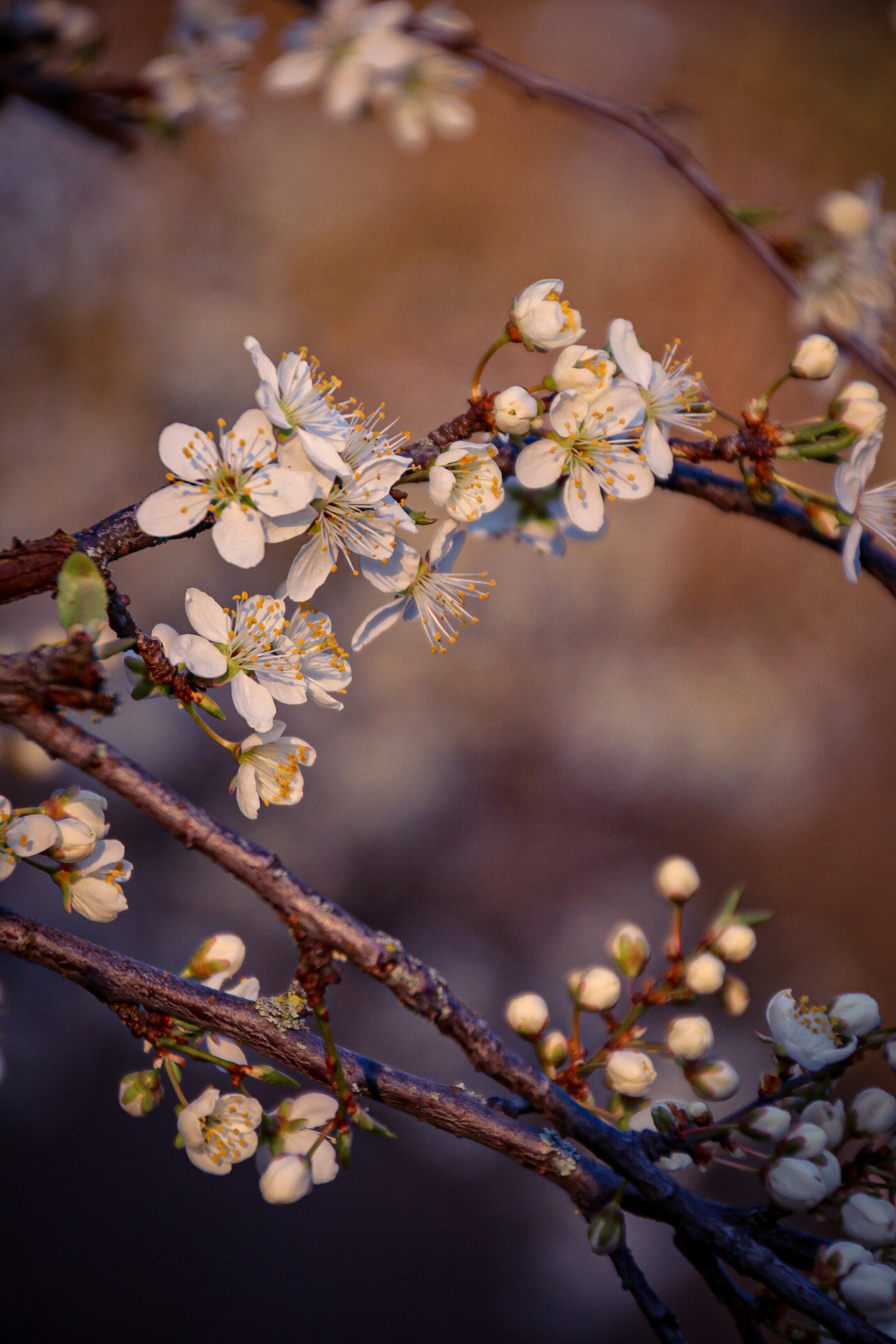 Natur und Stadt. Marina, Fotograf aus Nürnberg