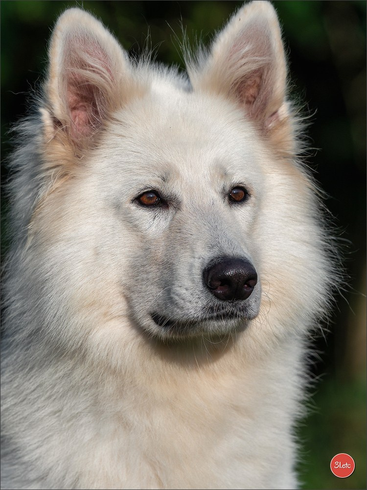 Domaine de la patte blanche. Photographe à Strasbourg | Portraits, Studio, Enfants, Événements