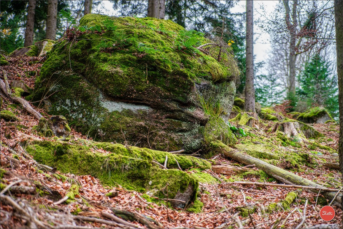 Rocher du Pfaffenlapp. Photographe à Strasbourg | Portraits, Studio, Enfants, Événements