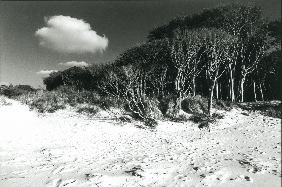 Sacra Natura. Katerina Kiper Photography