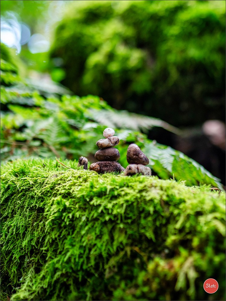 Ретрит в Эльзасе с Марией Ланг. Photographe à Strasbourg | Portraits, Studio, Enfants, Événements