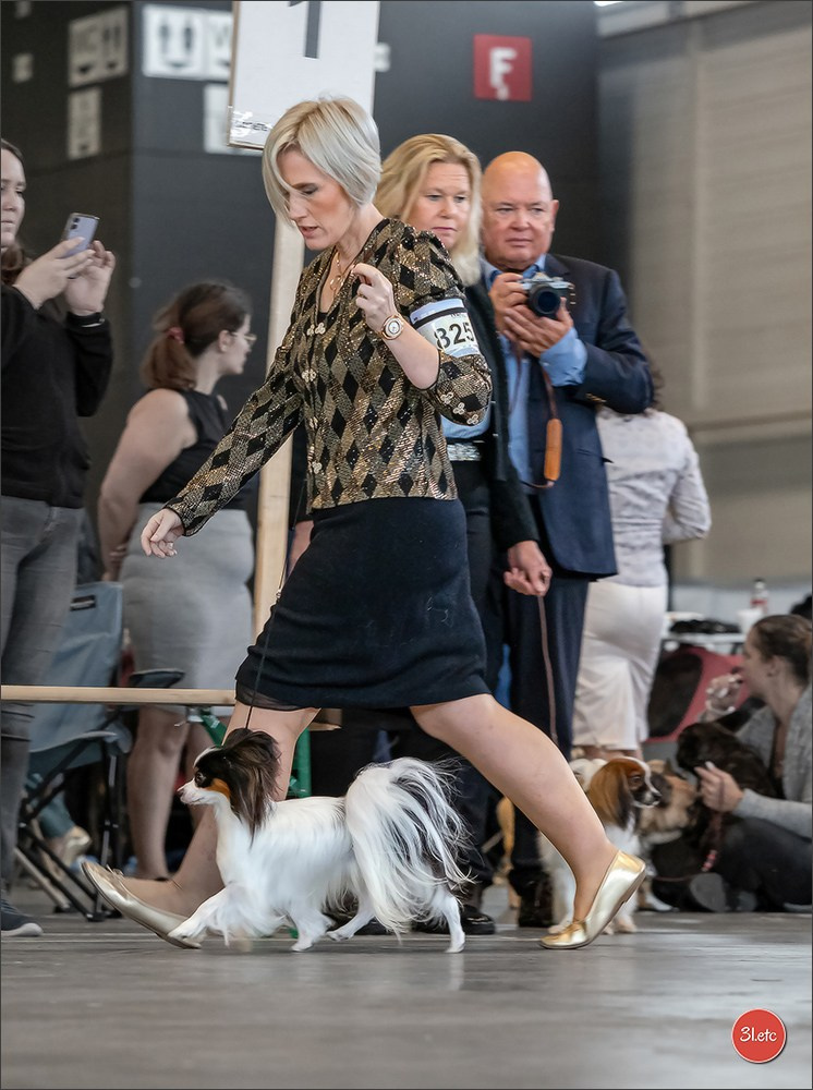 🇨🇭 Geneva 03-05.10.2025 🇨🇭. Photographe à Strasbourg | Portraits, Studio, Enfants, Événements