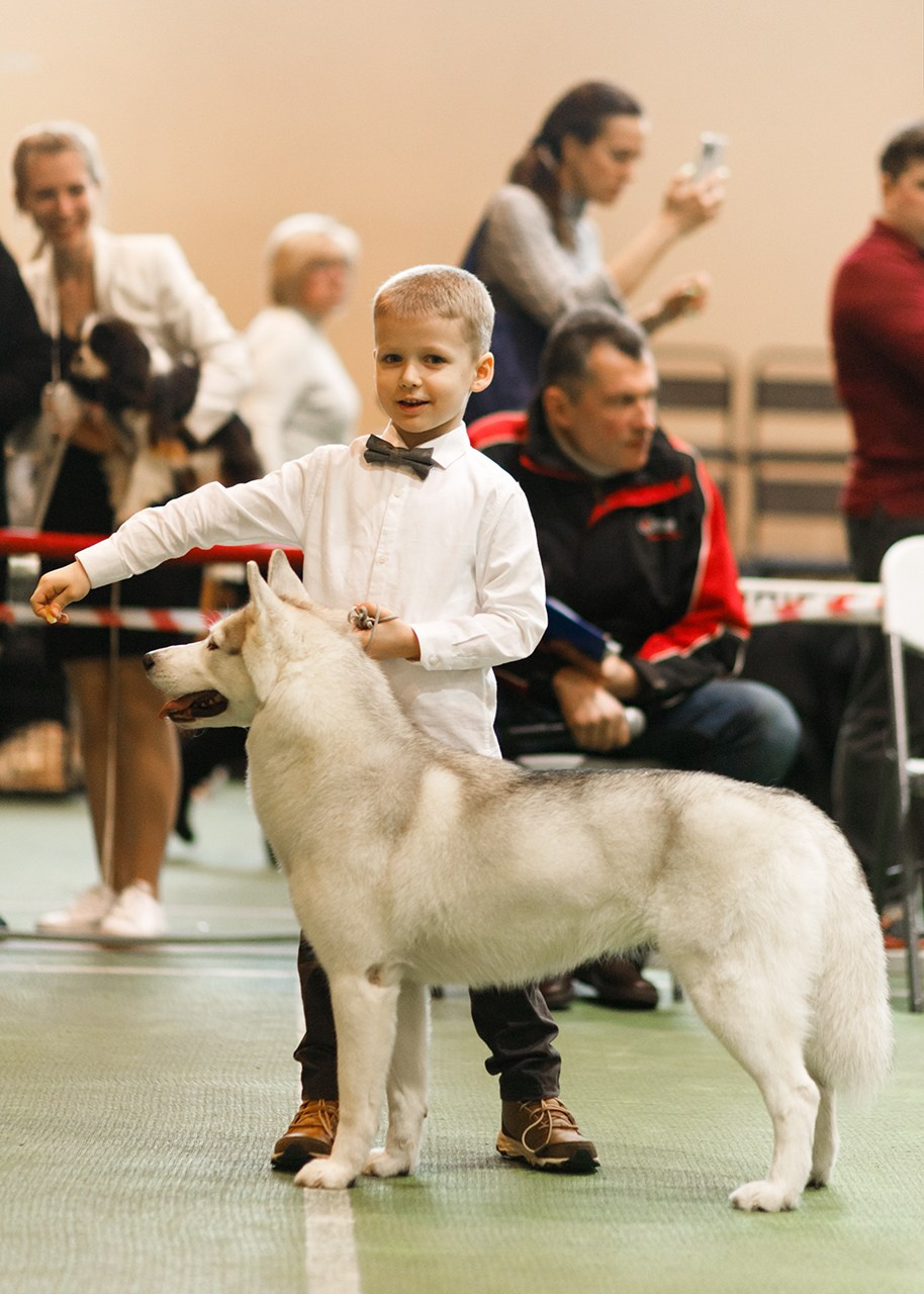 Grodno dog show. Kaja | fotograf we Wrocławiu | ludzie i psy