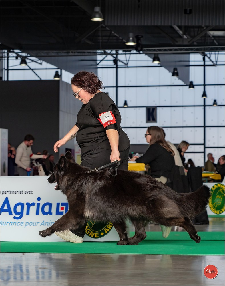 🇫🇷  Chalons en Champagne  🇫🇷  Expo canine  31/01-01/02/2026. Photographe à Strasbourg | Portraits, Studio, Enfants, Événements