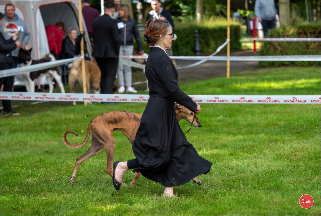 CHARTRES - SPOIR Dimanche 16 juin 2024  Exposition Canine Nationale. Photographe à Strasbourg | Portraits, Studio, Enfants, Événements
